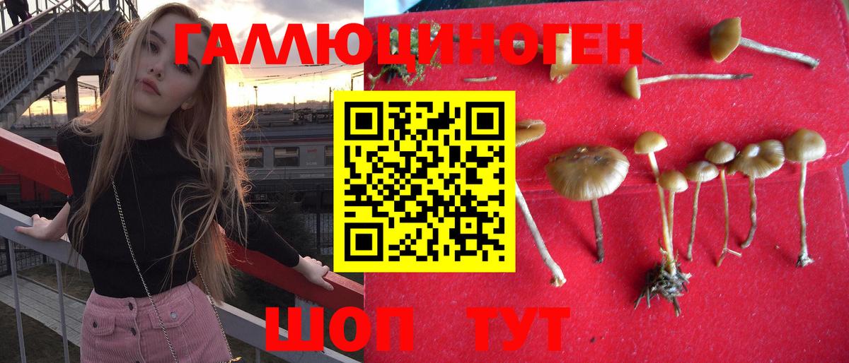 Галлюциногенные грибы GOLDEN TEACHER Семёнов